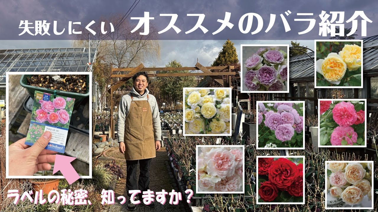 2025年オススメの品種紹介します！ - YouTube