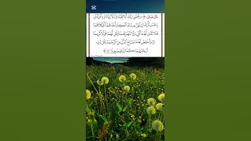 سورة الإسراء آية ٢٣-٢٤