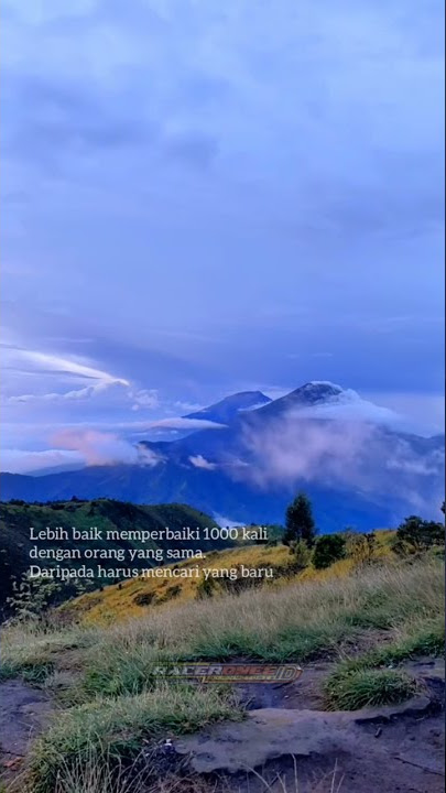 BIDADARI CINTA story wa || enjoying of sambat