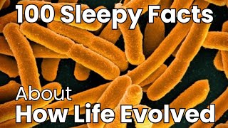 How Life Evolved? | 100 Facts to Fall Asleep To | No Adverts