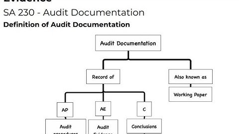 SA 230 Audit Documentation | My Audit Assignment | @NeerajArora | #auditislove