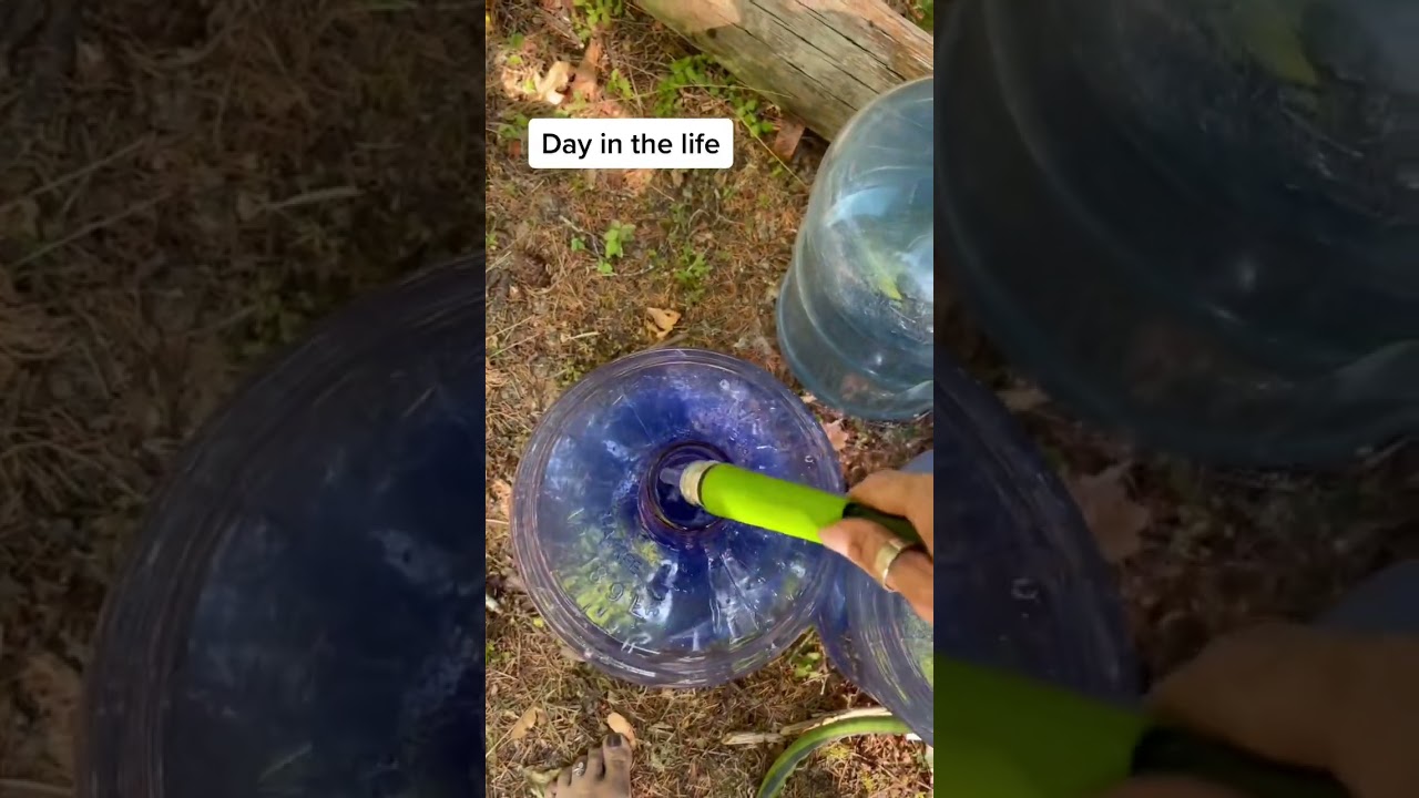 A Glimpse Into My Off-Grid Homesteading Life: Daily Chores and Cat Adventures