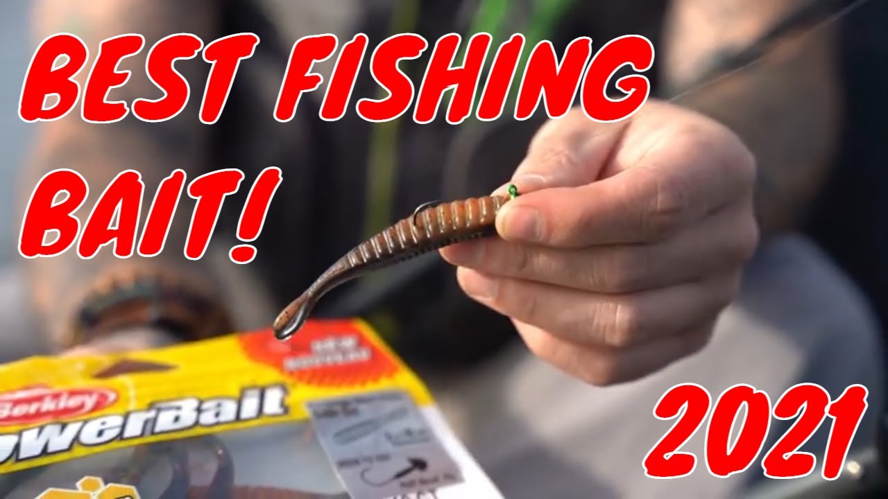 The BEST NED RIG finesse bait on the market! - Berkley Ca$h Out Bait  review- Squatch & Learn 