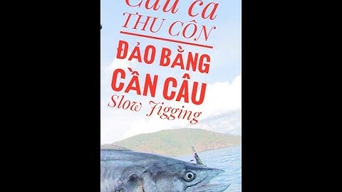 Câu cá biển - Câu Cá Thu Côn Đảo bằng cần câu Slow Jigging - Alo Fishing | Kỹ Thuật dòng cá lớn
