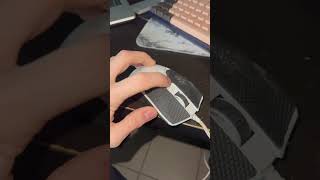 IMG 3661
