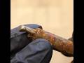 Rusty Secret pocket knife Restoration #restoration #secretknife #shorts