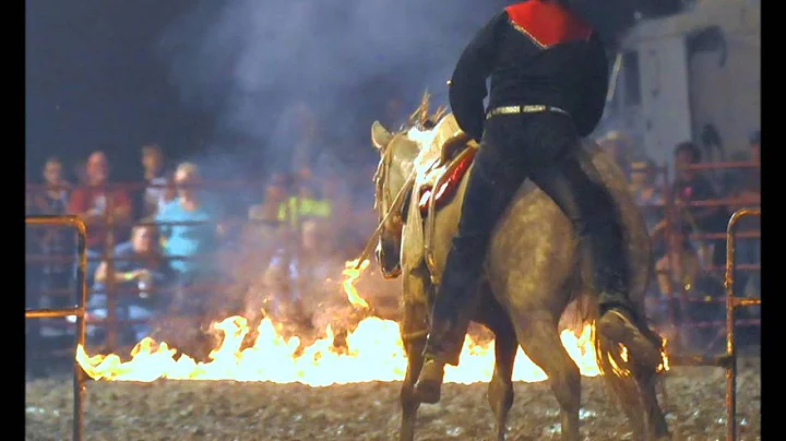 Justin Dickerson, Roman Riding, Trick Riding, Spec...
