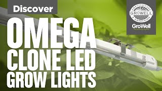 Picking LED Propagation Lighting | Omega 18W Clone LED Grow Light | Discover