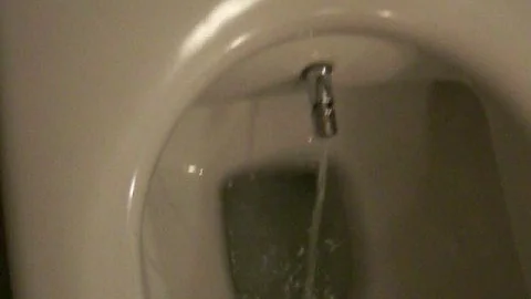Perché si chiama gabinetto alla turca?