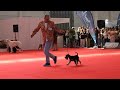17.ª ECI Aveiro - Bebés a Criador