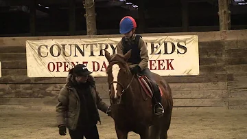 Walk Trot Canter Lesson Leo