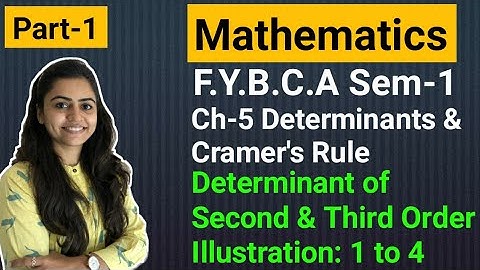 FYBCA | Mathematics | Ch-5 | Part-1 | Determinants & Cramer
