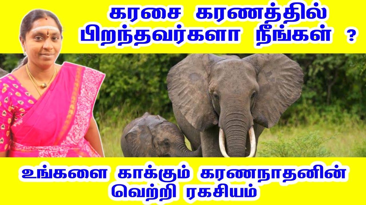 கரசை கரணம் கரணத்தில் பிறந்தவர்களா ? உங்களை காக்கும் கரணநாதன் வெற்றி ரகசியம் | karasai karanam