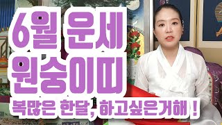 [띠별운세]6월운세사주 원숭이띠 종합운세 직업 사업 매매 연애 건강 금전 강남점집