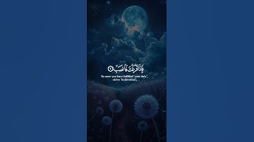 اكتب شيء تؤجر عليه ❤️🎧 #القارئ إسلام صبحي