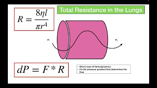 Resistance in the Lungs