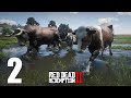 ESTOURO DE BOIADA parte 02 - Red Dead Redemption 2