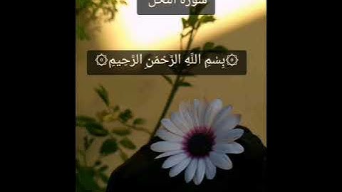 سورة الحجر وبداية سورة النحل صفحة 267