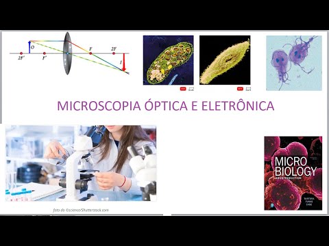 Vídeo: Que níveis de ampliação podem ser alcançados por microscópios de luz vs eletrônicos?