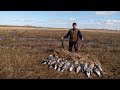 Гусиная охота 2018/goose hunting 2018 in Belarus