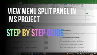 View Menu Split Panel in MS project step by step Guide in Hindi/Urdu