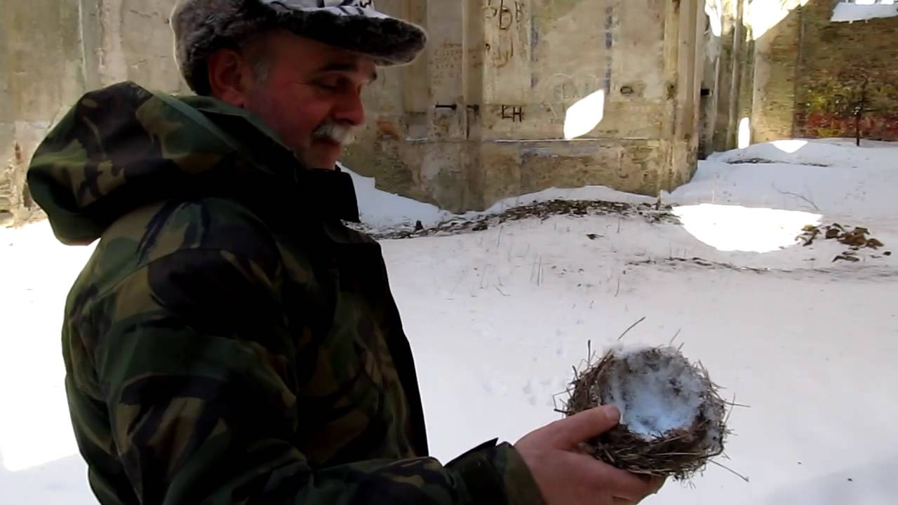 Bunkry Linii Mołotowa  Lubycza Królewska / cerkwiew w Kniaziach