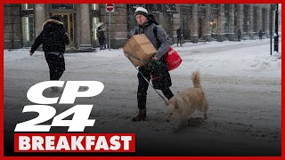 Tips For Dog Owners As Really Cold Temperatures Chill The Gta