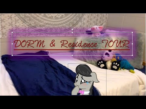 college-dorm-tour-2018-//-justarnelle-//-brock-university