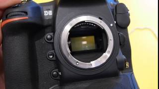 Nikon D5 Continuous Shooting 12-14Fps Close