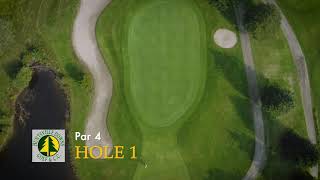 Hole1