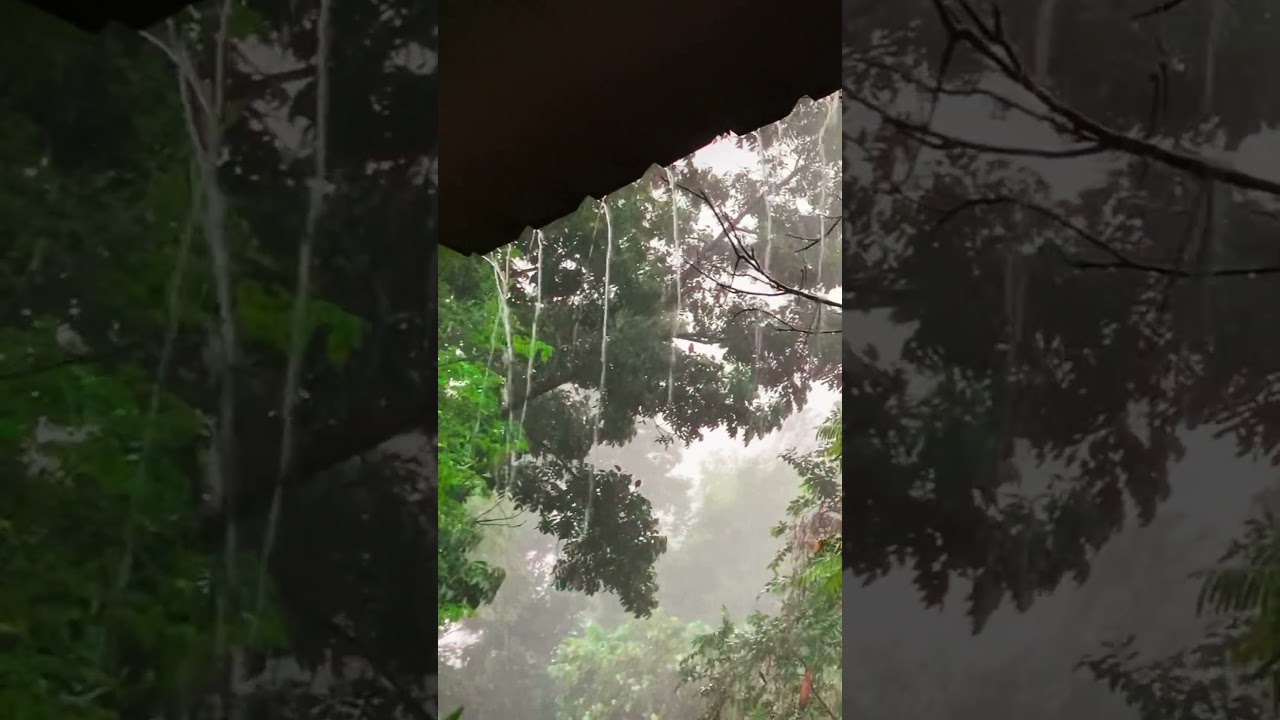 Deep Sleep Guaranteed with Heavy Rain & Thunder Sounds at Night | Best Rain Sounds for Insomnia