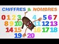 Apprendre à compter de 0 à 20 pour les enfants 🧒