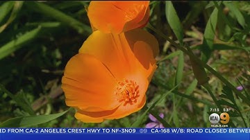 STEAM Sundays: Meet An Environmental Scientist