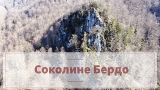 Соколине Бердо ⛰️ Карпати (Falcon Rock, Carpathians)