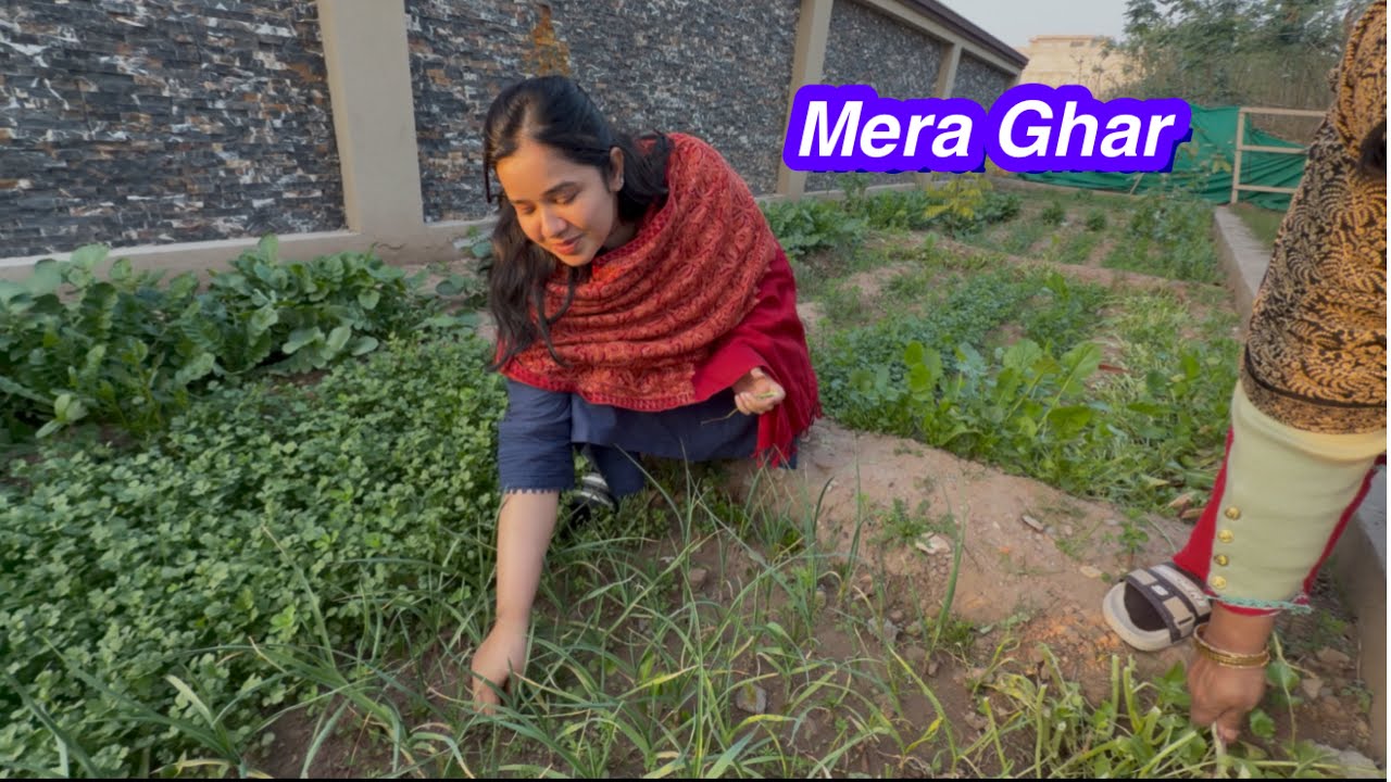 Мой дом и овощи | Небо Ситары