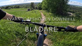 Kvarntorpshögen Downhill Blådåre 2024