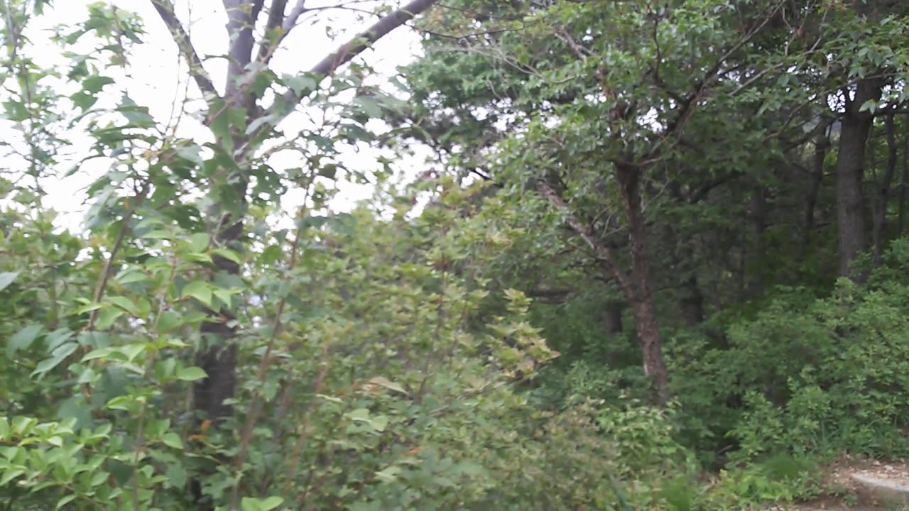 부산 배산모습 - YouTube