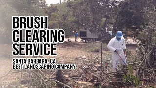 Santa Barbara, CA Best Landscaping Company At  Brush Clearing Service