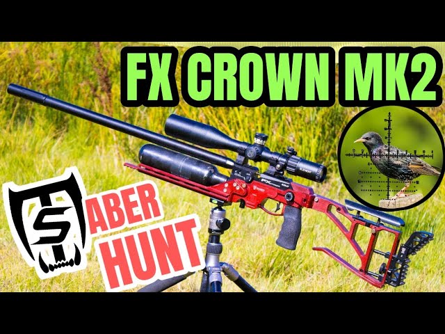 FX Crown MKII .30 cal and Saber Tactical Chassis: Find Your Airgun Harmonic  Zen! 