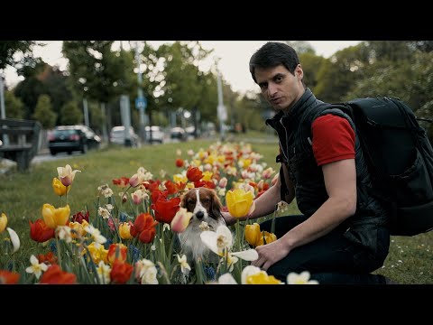 Video: Jak Fotografovat Psa