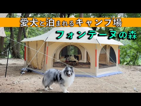 【つくばフォンテーヌの森】愛犬と泊まれるキャンプ場