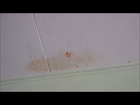 Water Dripping From Ceiling Roof Leak