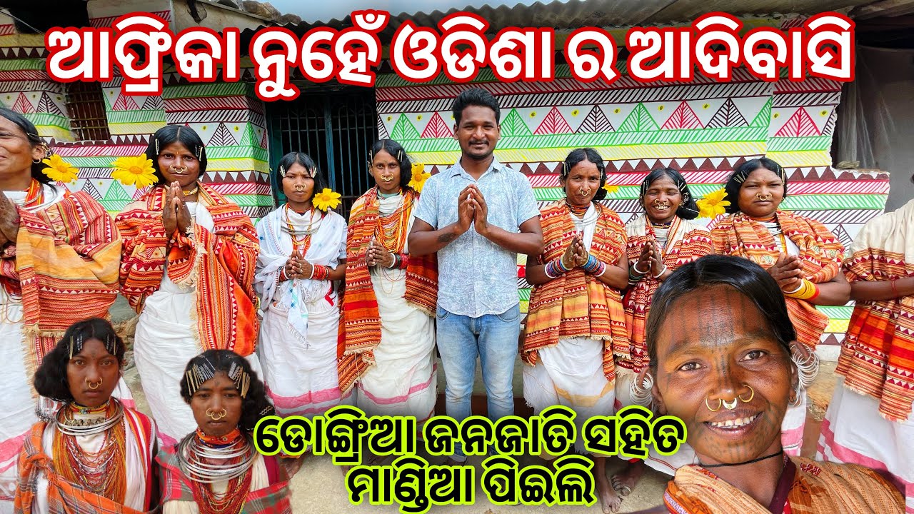 ନିୟମଗିରି ପାହାଡ ରେ ରହୁଥିବା ଆଦିବାସୀ || RAYAGADA DONGRIA TRIBE ￼ ODISHA #mutraveller