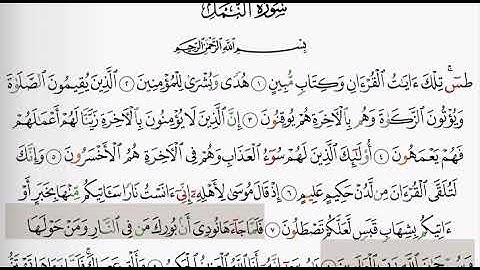 (27) سورة النمل | شيخ الزين محمد احمد