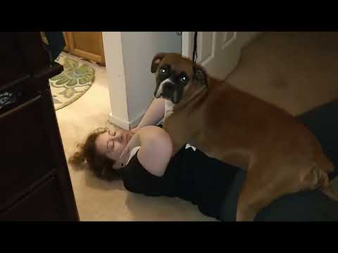 Woman viciously mauled by boxer dog!