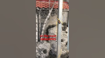 ĐẮP TRANH TƯỜNG 3D BONG KÊNH lh tranhdapvehanoi.com