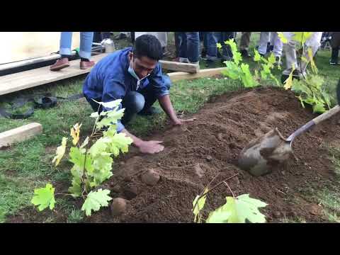 ভিডিও: গোঁড়া খ্রিস্টানদের কেন ইস্টারের কবরস্থানে যাওয়া অসম্ভব