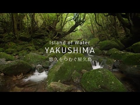 Video: Nacionalni park Yakushima: Potpuni vodič