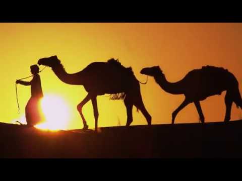 Dubai’s Safari Guide – Visit Dubai