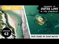 MUD CRABS and MANGROVE JACK IN CRYSTAL CLEAR WATER - Ep 42